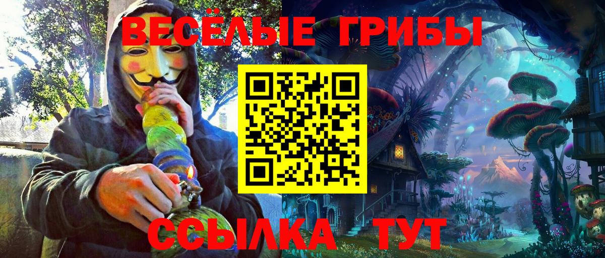 ГАШ Карпинск