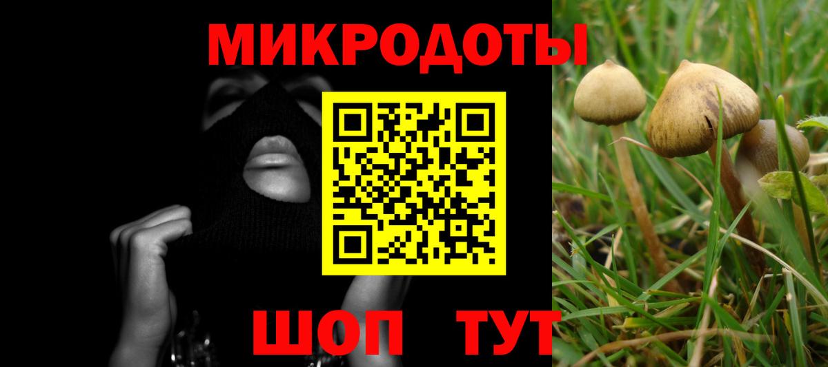 Галлюциногенные грибы мицелий Карпинск